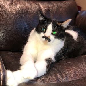 Meet your Posher, Jen